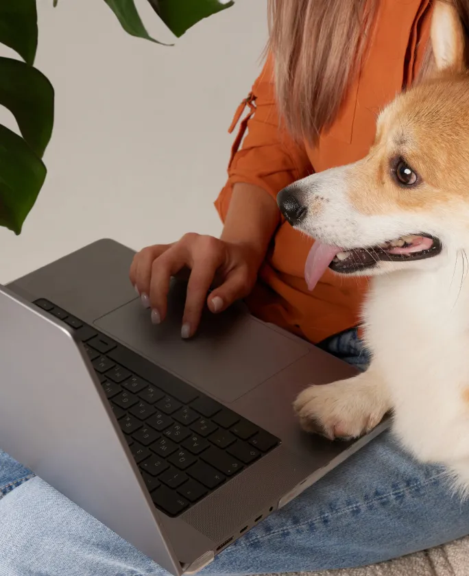 A woman using a laptop to work from home