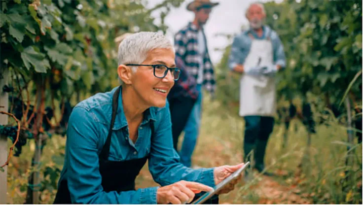 Case Study: Naked Wines provides better service with RingCentral