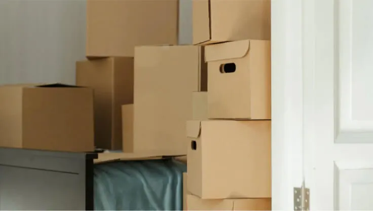 Case study: With RingCentral's help Junk Chuckers boosted their revenue by 230%