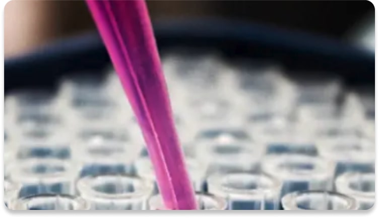 Pipette in a test tube inside a laboratory