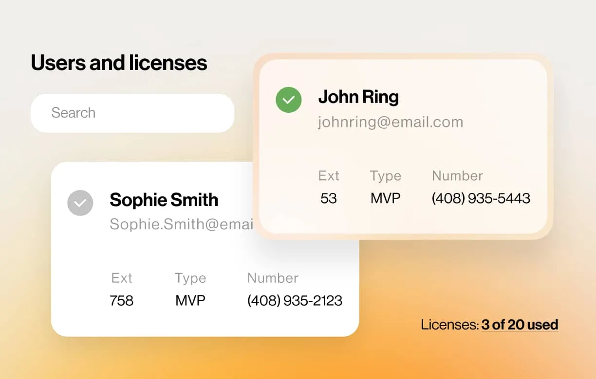The account management feature of a RingCentral admin account